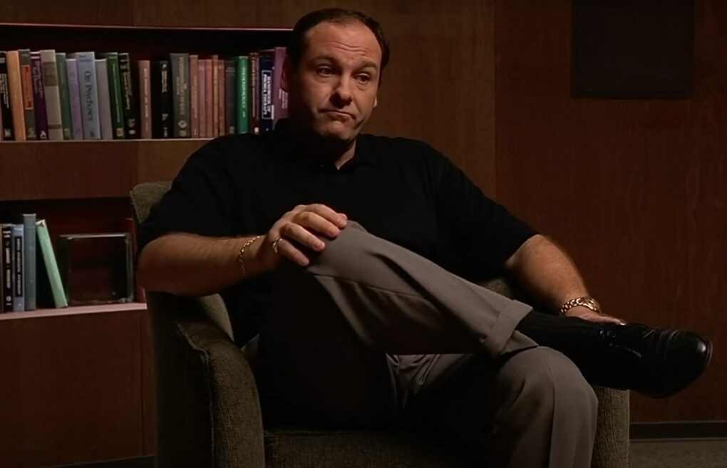 Tony Soprano from The Sopranos TV series